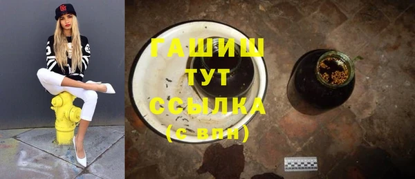 прущие грибы Алзамай