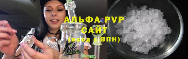 прущие грибы Алзамай